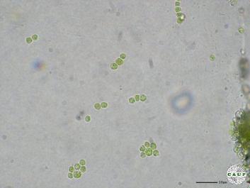 H1985_2.JPG