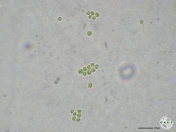 H1985_3.JPG