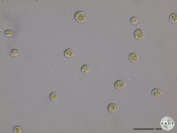H1989_5.JPG