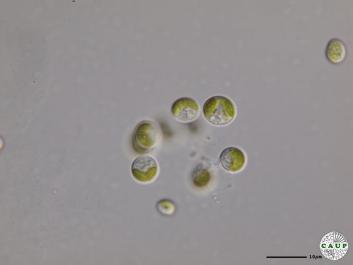 H1990a_4.JPG