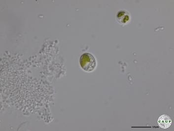 H1990b_9.JPG