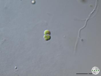 H1996_2.JPG