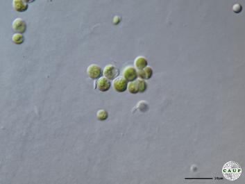 H1996_6.JPG