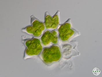 H2308_3.jpg