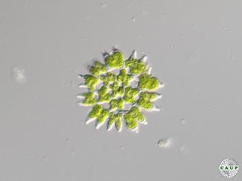 H2308_4.jpg