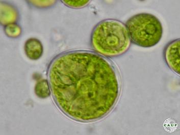 H2602_02.jpg