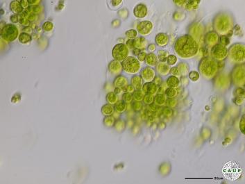 H2602_14.JPG