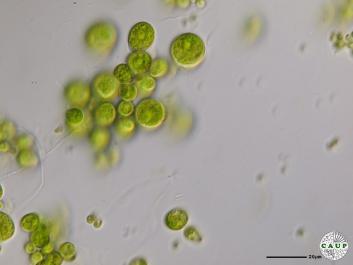 H2602_15.JPG
