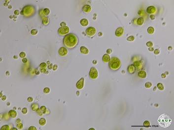 H2602_16.JPG