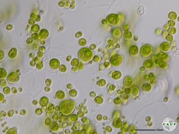 H2602_17.JPG