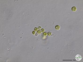 H2701_1.JPG