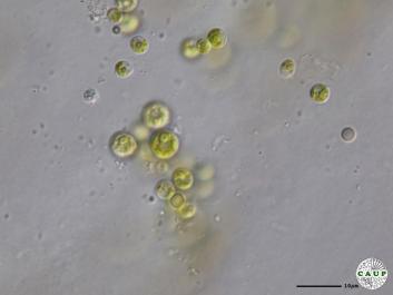 H2701_2.JPG