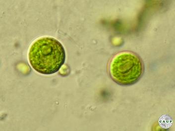 H2701_2.JPG