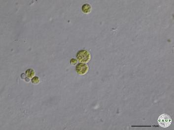 H2701_3.JPG
