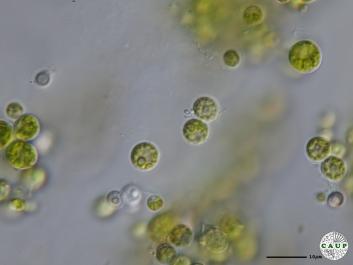 H2701_5.JPG