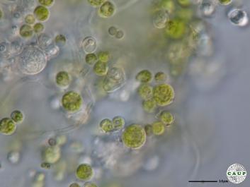 H2701_6.JPG