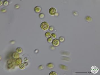 H2701_7.JPG