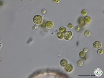 H2701_8.JPG