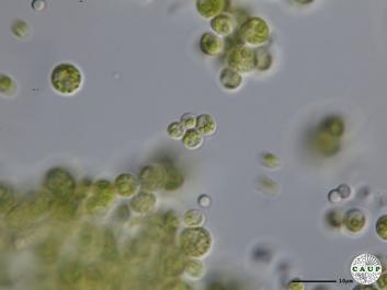 H2701_9.JPG