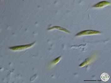 H2912_3.JPG