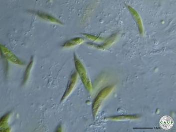 H2912_4.JPG