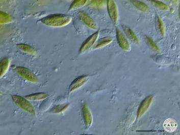 H3301_1.JPG
