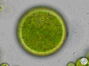 H3701_01.jpg