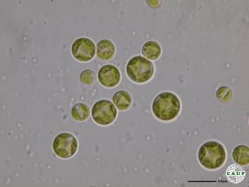 H3802_5.JPG