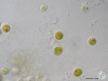 H4302_2.JPG