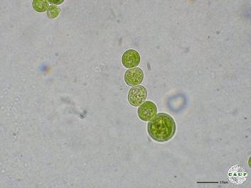 H4302_3.JPG