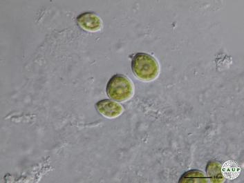 H4403_5.JPG