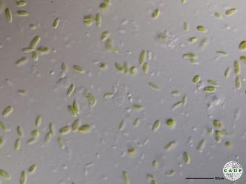 H5101_1.JPG
