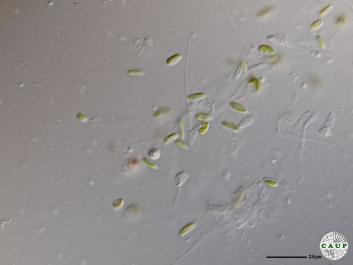H5101_2.JPG