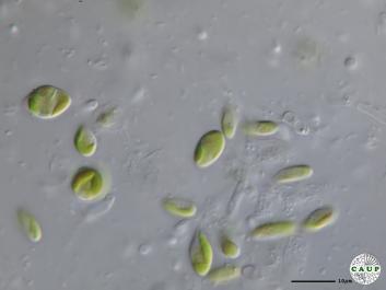 H5101_3.JPG