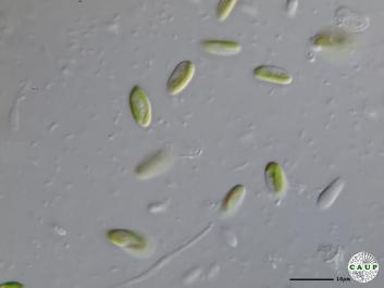 H5101_4.JPG