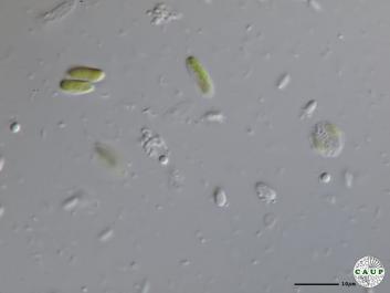 H5101_5.JPG