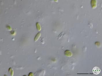 H5101_6.JPG