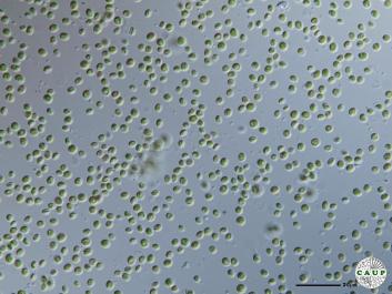 H5103b.JPG