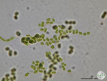 H5104a.JPG