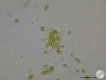 H5104b.JPG