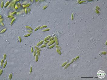 H5105c.JPG