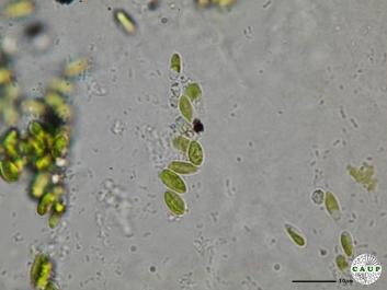 H5107a.JPG