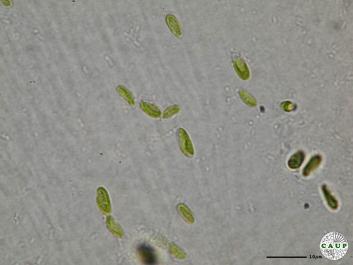 H5107c.JPG