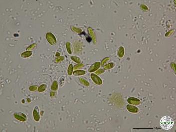 H5107e.JPG