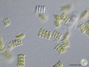 H522_5.JPG