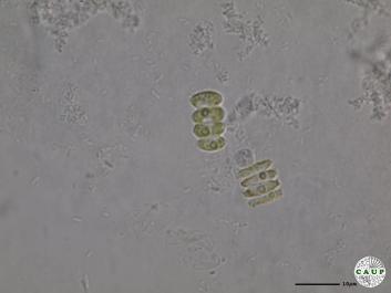 H529_4.JPG