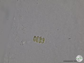 H529_5.JPG