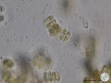 H531_1.JPG
