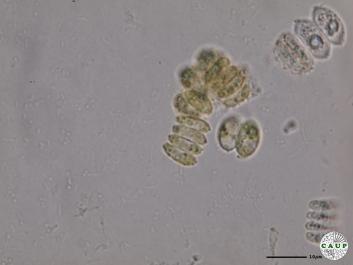 H531_4.JPG