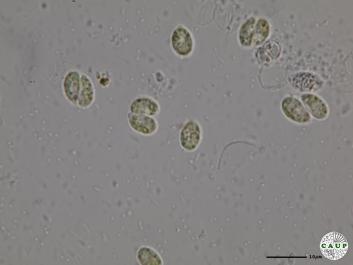 H533_4.JPG